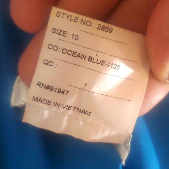 Dessy Collection Vivian Diamond Size 10 Dress - Picture 9 of 9